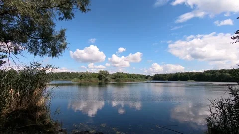 Lake in the seventh forest. 스톡 동영상 136670964