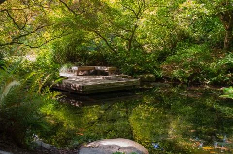 Lake in shadow Stock Photos