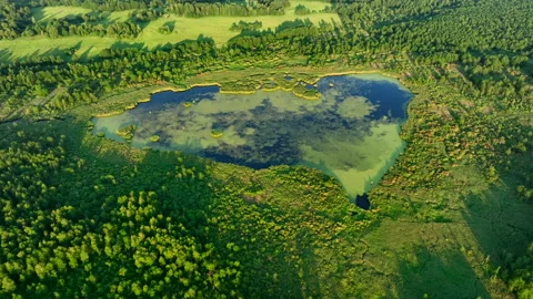 Lake in shape of a heart in forest. Bog, fen, mire landscape. Video stock 201379887