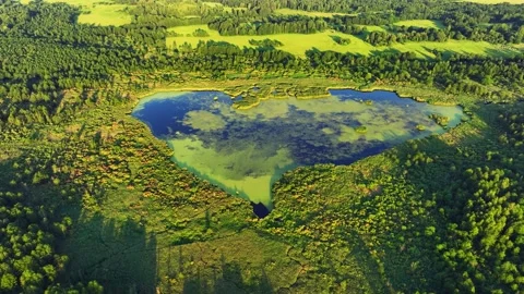 Lake in shape of a heart in forest. Bog, fen, mire landscape. Stock-Footage 201380427