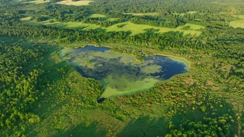 Lake in shape of a heart in forest. Bog, fen, mire landscape. Video stock 201380747