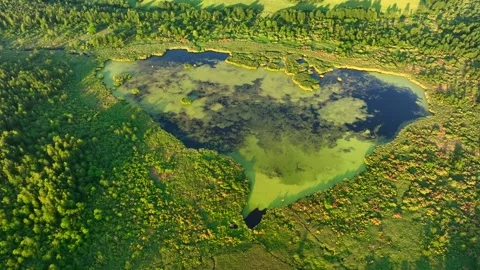 Lake in shape of a heart in forest. Bog, fen, mire landscape. Stock Footage 201380892