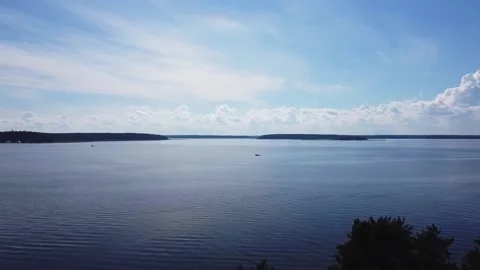 Lake, shooting from a computer directly above the trees towards the water Video stock 163679125