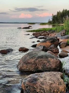 Lake shore 1 Stock Photos