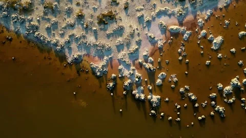Lake shore 2 Stock Footage 269774327