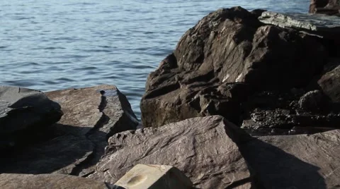 Lake Shore Background Stock Footage 55915740