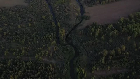 The lake shore at the edge of the forest 2 Video stock 330781720