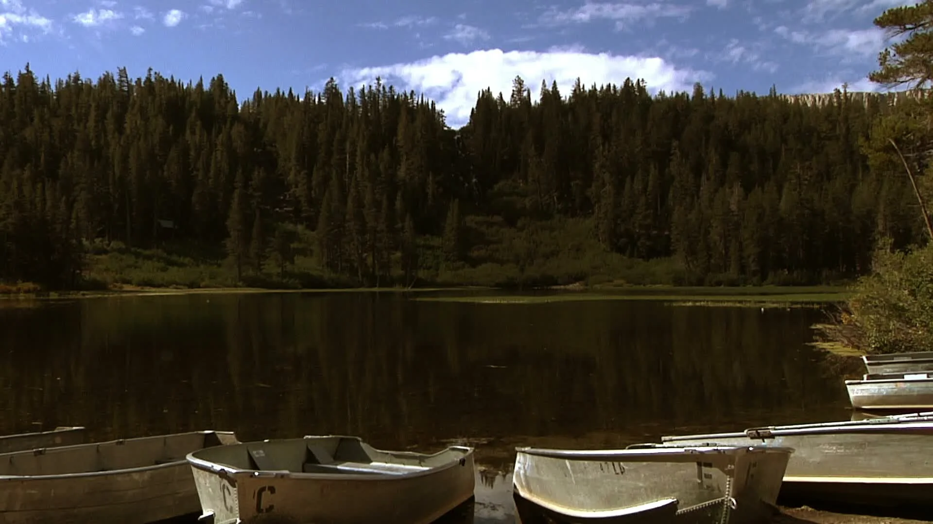 Lake Shore: Fishing Boats and Pine Trees, Stock Video