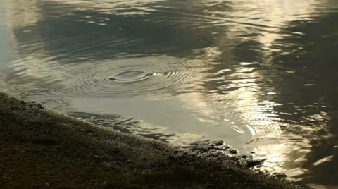 Lake shore Stock Footage 7747804