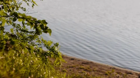 Lake-shore Stock Footage 7747936