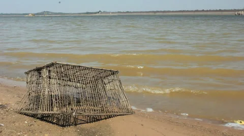 Lake shore Stock Footage 39349892