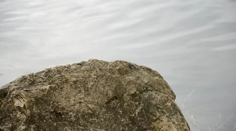 The lake shore. Stock Footage 42033383