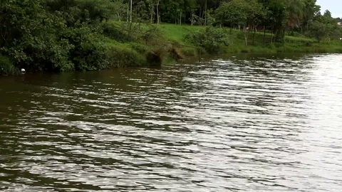 Lake shore Stock Footage 120881207