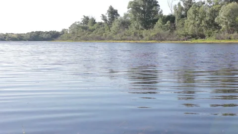 Lake Shore Stock Footage 132768280