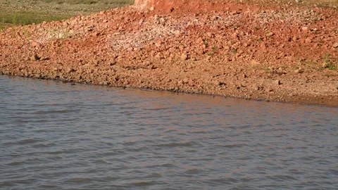 Lake Shore Video stock 139025738