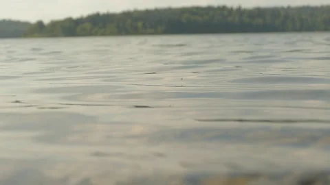 Lake Shore Stock Footage 160527573