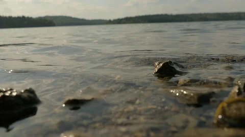 Lake Shore Stock Footage 160527653