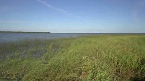 Lake Shore 動画素材 170059551