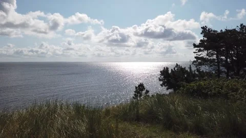 Lake shore Stock Footage 281858882