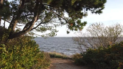 Lake shore Stock Footage 289621863