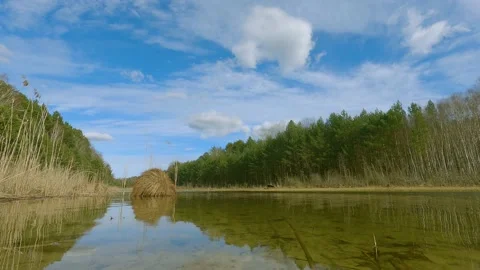 Lake shore with forest and clouds timelapse -4k 動画素材 156890765