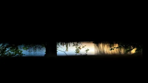 Lake Shore Framed by Silhouetted Trees at Golden Hour Pan Shot Stock Footage 346754705