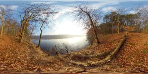 Lake Shore in Mixed Forest with Sunlight Reflections Poland 360 VR Vídeo Stock 342561249