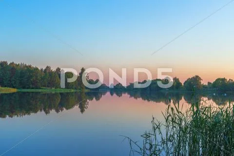 Lake shore Stock Photos