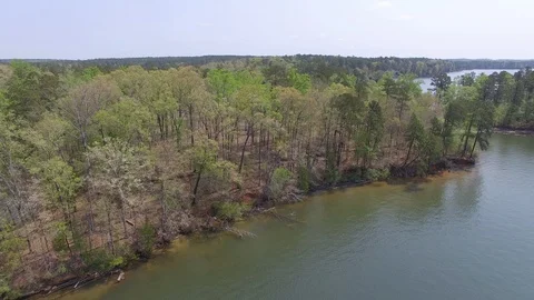 Lake Shore Spring Stock Footage 115650180