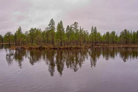 Lake shore in spring. Foto stock