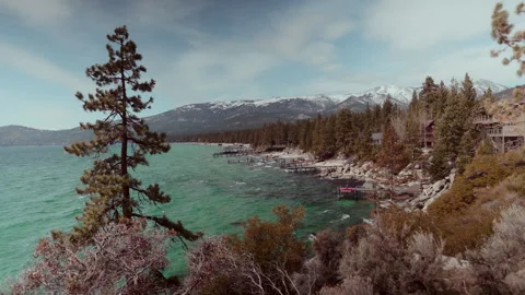 Lake Shore with a tree in foreground Stock Footage 255748665