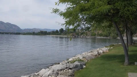 Lake shore with trees. 스톡 동영상 248883681