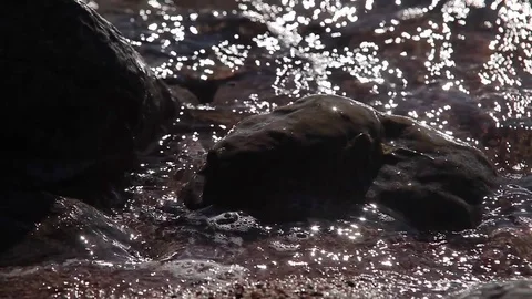 Lake shore, waves rocks Stock Footage 77677533