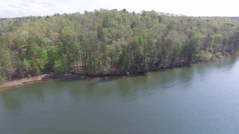 Lake Shoreline Stock Footage 115650074