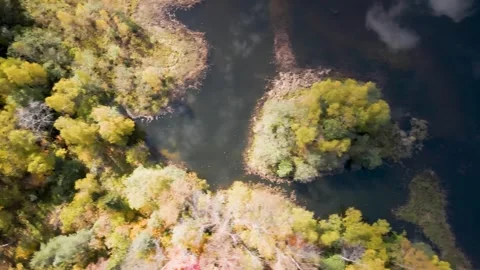 Lake Shoreline Vidéo 337226717