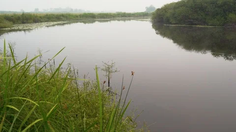 Lake in Siberia at dawn Stock Footage 114710248