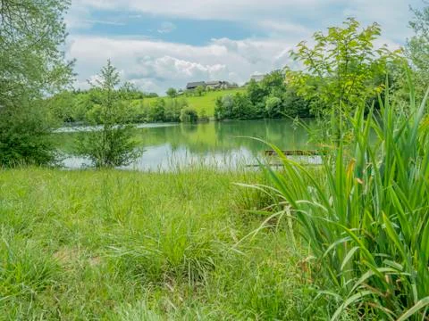 Lake side meadow Stock Photos