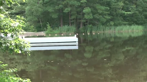 Lake Side Sweep 스톡 동영상 8576629