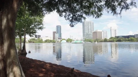 Lake side with tree and building, Downtown Orlando Stock Footage 66203164