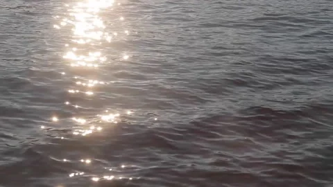 Lake with small waves and sunlight reflection Stock Footage 177106132