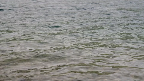 Lake with Small Waves Stock-Footage 300380736
