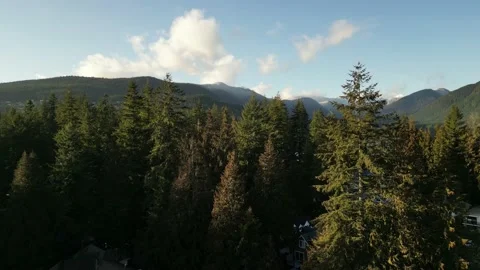 Lake &amp; Snow Mountain Video stock 233234047