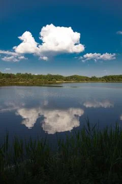 Lake in Sologne Stock Photos