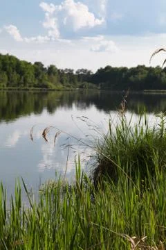 Lake in Sologne Stock Photos