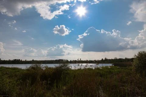 Lake in Sologne Stock Photos