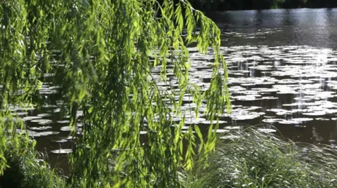 Lake in a spa of Germany Video stock 35167531