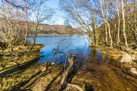 Lake on spring day from tree lined bank Stock Photos