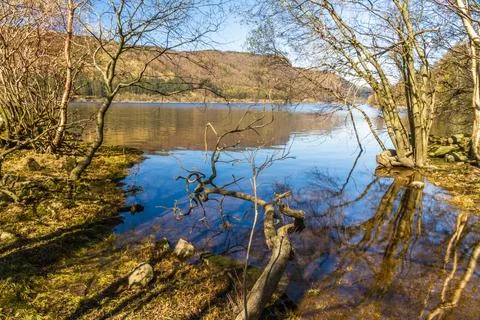 Lake on spring day from tree lined bank Stock Photos
