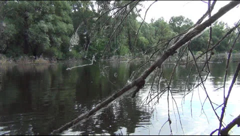 Lake in the spring Stock Footage