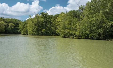 Lake in the spring Stock Photos